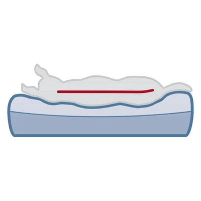 Cama Ortopédica Trixie Vital Remo Para Perros 7 Cama Ortopédica Trixie Vital Remo Para Perros - Imagen 7