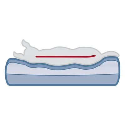 Cama Ortopédica Trixie Vital Sofa Bendson Para Perros 12 Cama Ortopédica Trixie Vital Sofa Bendson Para Perros - Imagen 12