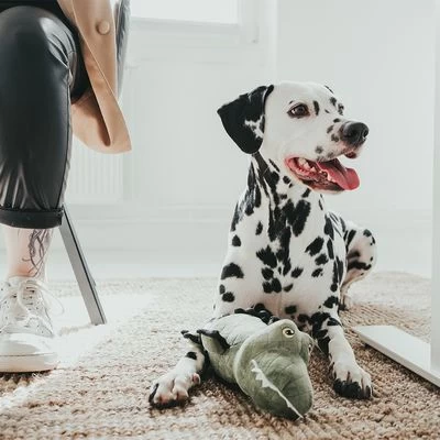 Hunter Tough Toys Cocodrilo De Juguete Para Perros 2 Hunter Tough Toys Cocodrilo De Juguete Para Perros - Imagen 2