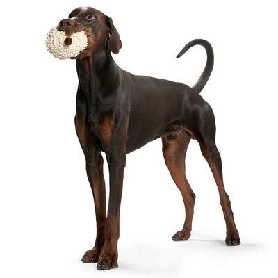 Oveja HUNTER Snugly Juguete Para Perros 2 Oveja HUNTER Snugly Juguete Para Perros - Imagen 2