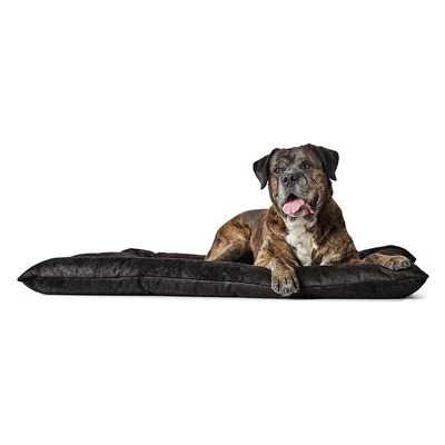 Cama Hunter Bologna Negra Para Perros 3 Cama Hunter Bologna Negra Para Perros - Imagen 3