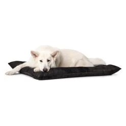 Cama Hunter Bologna Negra Para Perros 12 Cama Hunter Bologna Negra Para Perros -Trixie Ventas 214699 214700 hunter hundebett bologna schwarz hs 06 1