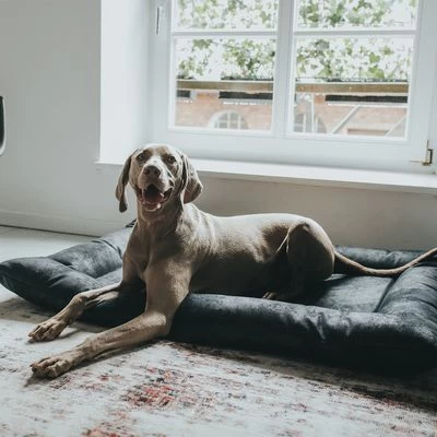 Cama Hunter Bologna Negra Para Perros 8 Cama Hunter Bologna Negra Para Perros - Imagen 8