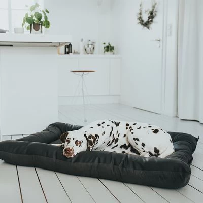 Cama Hunter Bologna Negra Para Perros 2 Cama Hunter Bologna Negra Para Perros - Imagen 2