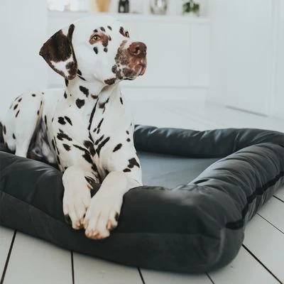 Cama Hunter Bologna Negra Para Perros 9 Cama Hunter Bologna Negra Para Perros - Imagen 9