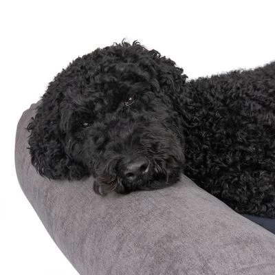 Colchón Malbork Modern Living Para Perros 4 Colchón Malbork Modern Living Para Perros - Imagen 4