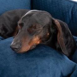 Cama Lublin Modern Living Con Cojín Para Perros 16 Cama Lublin Modern Living Con Cojín Para Perros -Trixie Ventas 218997 hundebett lublin fg 8655 6