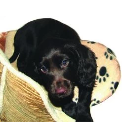 Almohadilla SnuggleSafe 13 Almohadilla SnuggleSafe -Trixie Ventas 22802 snugglesafe heizkissen f r haustiere hs dog 1