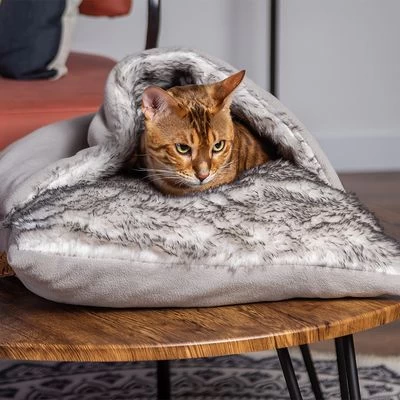 Cojín Nairobi Modern Living Para Mascotas 2 Cojín Nairobi Modern Living Para Mascotas - Imagen 2