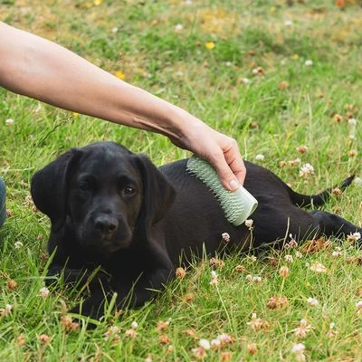 Pet Teezer Cepillo Para Cachorros 3 Pet Teezer Cepillo Para Cachorros - Imagen 3