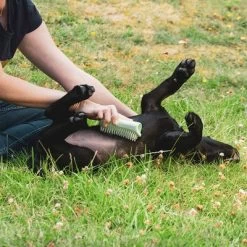 Pet Teezer Cepillo Para Cachorros 18 Pet Teezer Cepillo Para Cachorros -Trixie Ventas 230724 pet teezer welpenbuerste hs 18 2