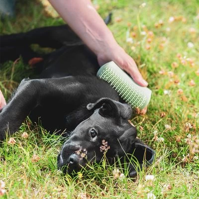 Pet Teezer Cepillo Para Cachorros 7 Pet Teezer Cepillo Para Cachorros - Imagen 7