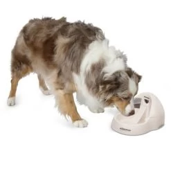 Petmate Fresh Flow Deluxe Bebedero Para Gatos 9 Petmate Fresh Flow Deluxe Bebedero Para Gatos -Trixie Ventas 23406 petmate fresh flow deluxe creme hs 02 9