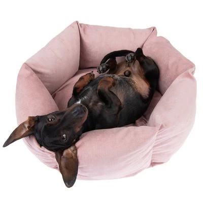 Cama Manila Para Mascotas 8 Cama Manila Para Mascotas - Imagen 8