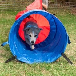 Túnel Flexible Agility Fun & Sport -Trixie Ventas 23801 sacktunnel agility fg 18 1