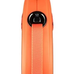 Correa Extensible Flexi Xtreme Naranja Con Cinta De 5 M 18 Correa Extensible Flexi Xtreme Naranja Con Cinta De 5 M -Trixie Ventas 252396 flexi xtreme urtleine orange 5m hs 03 0