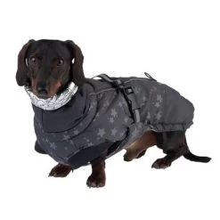 Abrigo Largo Reflecting Stars Para Perros 29 Abrigo Largo Reflecting Stars Para Perros -Trixie Ventas 262001 hundemantel reflecting stars fg 1934 2