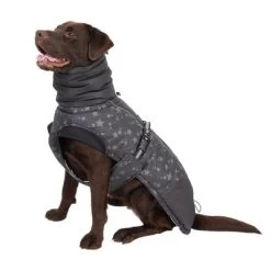 Abrigo Largo Reflecting Stars Para Perros 26 Abrigo Largo Reflecting Stars Para Perros -Trixie Ventas 262100 labrador fg 1982 1