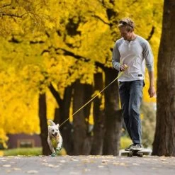 Correa RUFFWEAR Hi & Light Para Perros 23 Correa RUFFWEAR Hi & Light Para Perros -Trixie Ventas 262501 accapi ruffwear hi light leash lichengreen hs 13 5