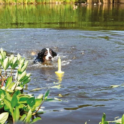 Juguete Trixie Aqua Toy MOT®-Aqua Para Perros 2 Juguete Trixie Aqua Toy MOT®-Aqua Para Perros - Imagen 2