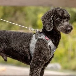 Correa De Bolsillo Curli Ultrarresistente 16 Correa De Bolsillo Curli Ultrarresistente -Trixie Ventas 267896 267897 ultrastarke taschenleine hs 05 3