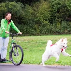 Correa De Bolsillo Curli Ultrarresistente 13 Correa De Bolsillo Curli Ultrarresistente -Trixie Ventas 267896 267897 ultrastarke taschenleine hs 07 2