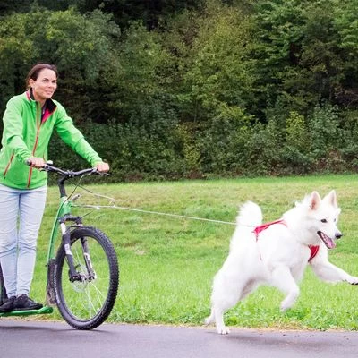 Correa De Bolsillo Curli Ultrarresistente 3 Correa De Bolsillo Curli Ultrarresistente - Imagen 3