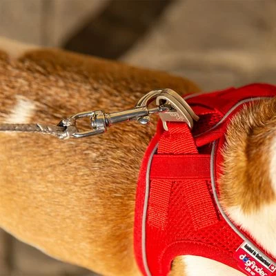 Correa De Bolsillo Curli Ultrarresistente 10 Correa De Bolsillo Curli Ultrarresistente - Imagen 10