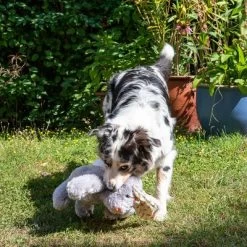 Conejo Elsie De Peluche Para Perros 22 Conejo Elsie De Peluche Para Perros -Trixie Ventas 267996 elsie mit hund fg 3306 3