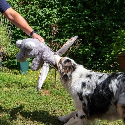 Conejo Elsie De Peluche Para Perros 3 Conejo Elsie De Peluche Para Perros - Imagen 3