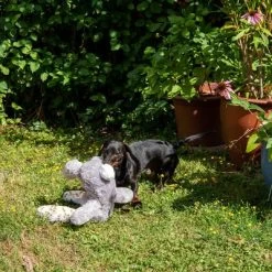 Conejo Elsie De Peluche Para Perros 23 Conejo Elsie De Peluche Para Perros -Trixie Ventas 267996 elsie mit hund fg 3335 8