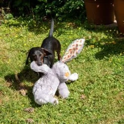 Conejo Elsie De Peluche Para Perros 19 Conejo Elsie De Peluche Para Perros -Trixie Ventas 267996 elsie mit hund fg 3339 8