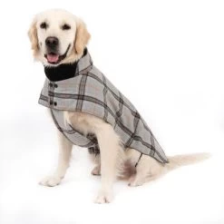 Abrigo Flannel Check Para Perros 17 Abrigo Flannel Check Para Perros -Trixie Ventas 269071 flannel check 60cm fg 2336 5