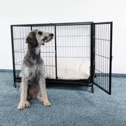 Jaula De Interior HAFENBANDE Cabin Para Perros 17 Jaula De Interior HAFENBANDE Cabin Para Perros -Trixie Ventas 280405 waagenschmitt hafenbande zimmerkaefig cabin hs 06 9