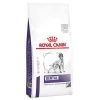 Royal Canin Expert Canine Dental Pienso Para Perros