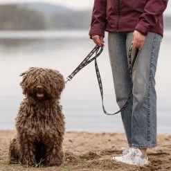 Correa Ajustable Hurtta Bare Carbón Para Perros -Trixie Ventas 288348 hurtta bare verstellbare fuehrleine coal hs 02 1