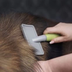 Carda Grande Moser Para Mascotas 5 Carda Grande Moser Para Mascotas -Trixie Ventas 289696 moser grosse zupfbuerste hs 02 6