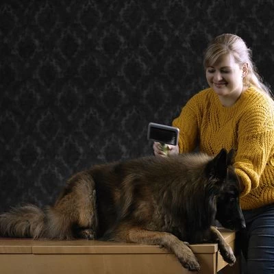 Carda Grande Moser Para Mascotas 2 Carda Grande Moser Para Mascotas - Imagen 2