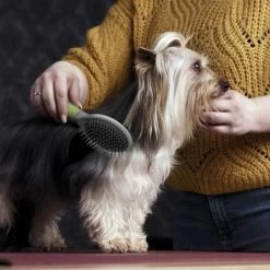 Cepillo De Doble Cara Moser Para Mascotas -Trixie Ventas 289796 moser beidseitige fellpflegebuerste hs 02 1