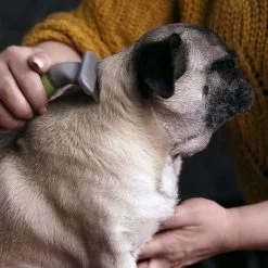 Peine Moser Para El Subpelo De Las Mascotas 4 Peine Moser Para El Subpelo De Las Mascotas -Trixie Ventas 289797 moser unterwollkamm hs 02 4