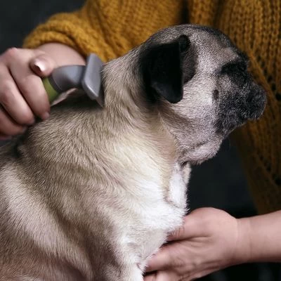 Peine Moser Para El Subpelo De Las Mascotas 2 Peine Moser Para El Subpelo De Las Mascotas - Imagen 2