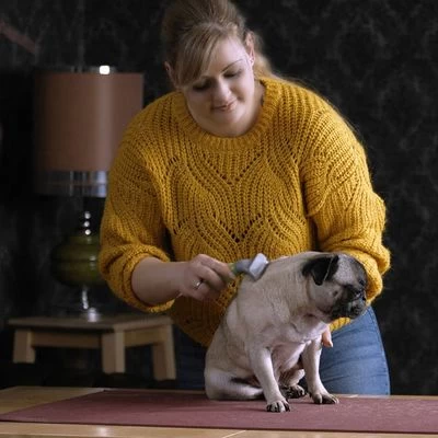 Peine Moser Para El Subpelo De Las Mascotas 3 Peine Moser Para El Subpelo De Las Mascotas - Imagen 3