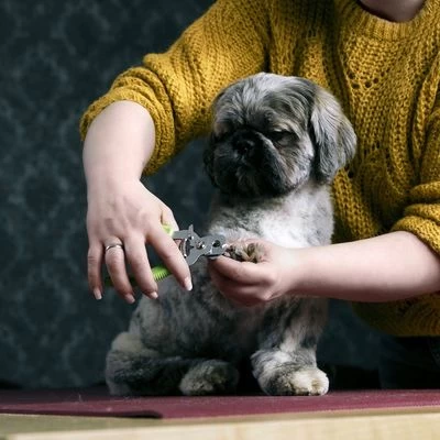 Cortaúñas Moser Para Mascotas 2 Cortaúñas Moser Para Mascotas - Imagen 2