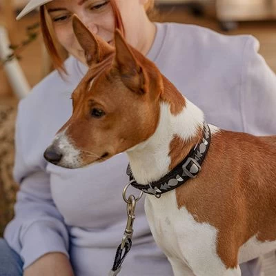 Collar Hurtta Bare Carbón Para Perros - Imagen 11