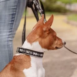 Collar Hurtta Bare Carbón Para Perros -Trixie Ventas 291297 291298 288343 291396 hurtta bare halsband coal hs 09 6