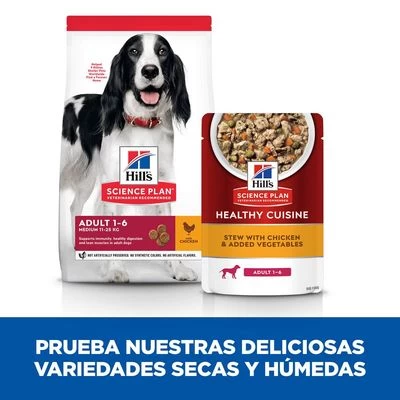 Hill's Science Plan Adult Healthy Cuisine Con Pollo Para Perros 6 Hill's Science Plan Adult Healthy Cuisine Con Pollo Para Perros - Imagen 6