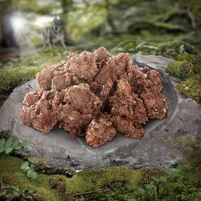 Wolf Of Wilderness 6 X 300 G 6 Wolf Of Wilderness 6 X 300 G - Imagen 6