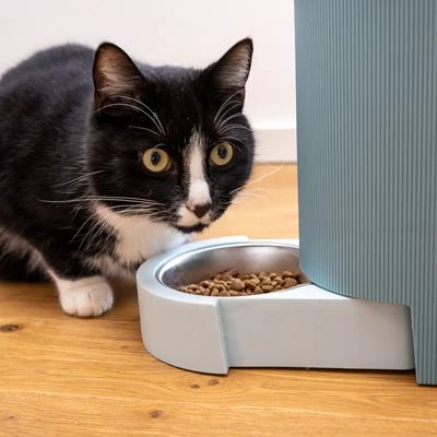 TIAKI Tolva Para Pienso Y Agua, Azul Claro Para Mascotas 4 TIAKI Tolva Para Pienso Y Agua, Azul Claro Para Mascotas - Imagen 4