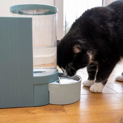 TIAKI Tolva Para Pienso Y Agua, Azul Claro Para Mascotas 20 TIAKI Tolva Para Pienso Y Agua, Azul Claro Para Mascotas - Imagen 20