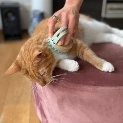 Kooa Cepillo Masajeador Para Gatos 14 Kooa Cepillo Masajeador Para Gatos -Trixie Ventas 309896 kooa massageb rste f r katzen hs 06 0